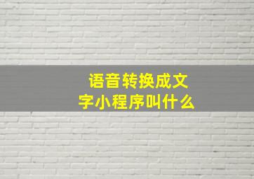 语音转换成文字小程序叫什么