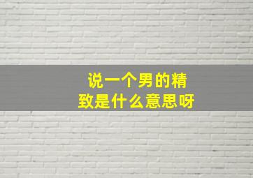 说一个男的精致是什么意思呀