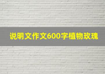 说明文作文600字植物玫瑰