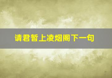 请君暂上凌烟阁下一句