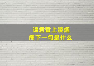 请君暂上凌烟阁下一句是什么