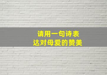 请用一句诗表达对母爱的赞美