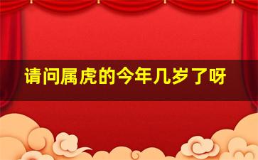 请问属虎的今年几岁了呀