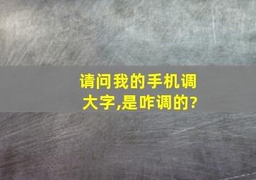 请问我的手机调大字,是咋调的?