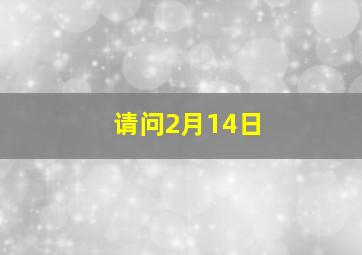 请问2月14日