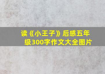 读《小王子》后感五年级300字作文大全图片