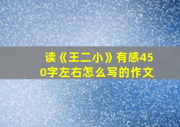 读《王二小》有感450字左右怎么写的作文