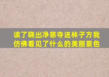 读了晓出净慈寺送林子方我仿佛看见了什么的美丽景色