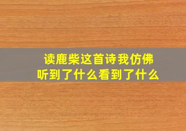 读鹿柴这首诗我仿佛听到了什么看到了什么