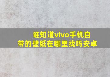 谁知道vivo手机自带的壁纸在哪里找吗安卓