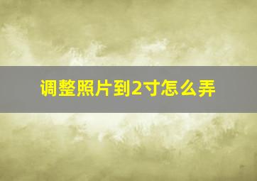 调整照片到2寸怎么弄