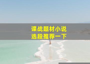 谍战题材小说选段推荐一下