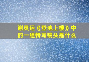 谢灵运《登池上楼》中的一组特写镜头是什么