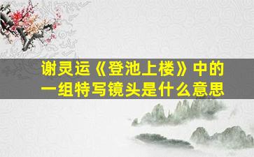 谢灵运《登池上楼》中的一组特写镜头是什么意思