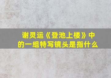 谢灵运《登池上楼》中的一组特写镜头是指什么