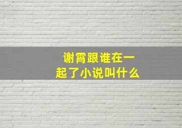 谢霄跟谁在一起了小说叫什么