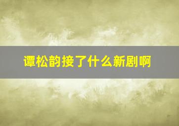 谭松韵接了什么新剧啊