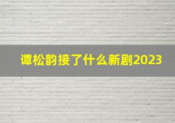 谭松韵接了什么新剧2023