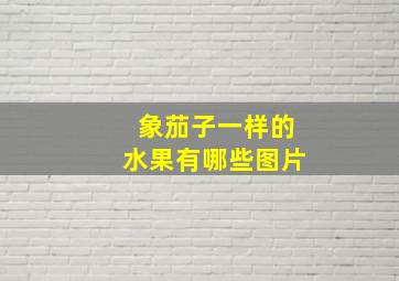 象茄子一样的水果有哪些图片