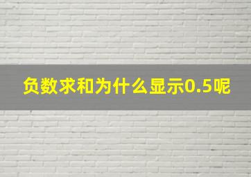 负数求和为什么显示0.5呢