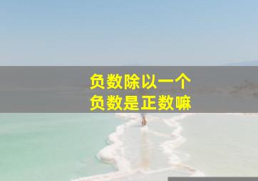 负数除以一个负数是正数嘛