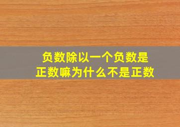 负数除以一个负数是正数嘛为什么不是正数