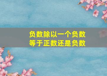 负数除以一个负数等于正数还是负数