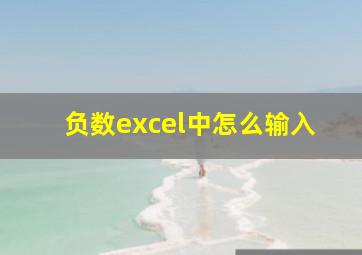 负数excel中怎么输入