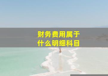 财务费用属于什么明细科目