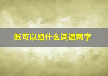 账可以组什么词语两字