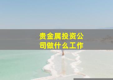 贵金属投资公司做什么工作