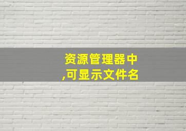 资源管理器中,可显示文件名