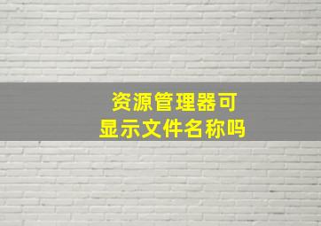 资源管理器可显示文件名称吗