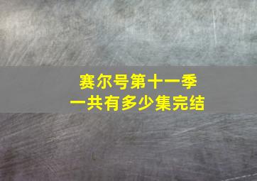 赛尔号第十一季一共有多少集完结