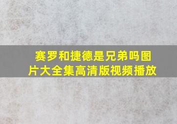 赛罗和捷德是兄弟吗图片大全集高清版视频播放