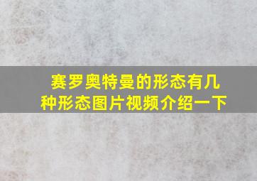 赛罗奥特曼的形态有几种形态图片视频介绍一下