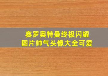 赛罗奥特曼终极闪耀图片帅气头像大全可爱