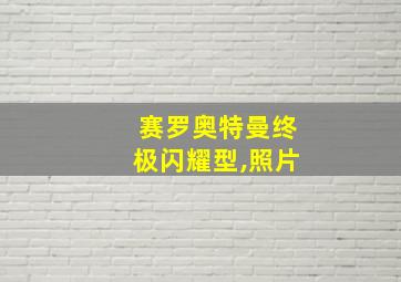 赛罗奥特曼终极闪耀型,照片