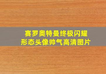 赛罗奥特曼终极闪耀形态头像帅气高清图片