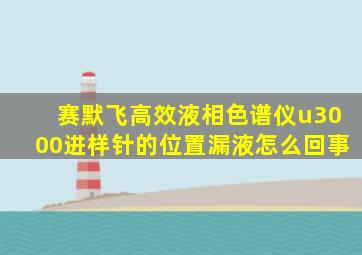 赛默飞高效液相色谱仪u3000进样针的位置漏液怎么回事