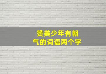 赞美少年有朝气的词语两个字