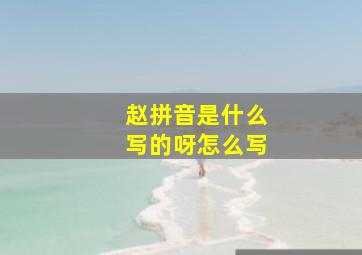 赵拼音是什么写的呀怎么写