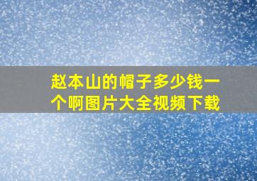 赵本山的帽子多少钱一个啊图片大全视频下载