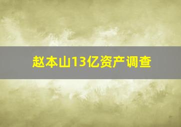 赵本山13亿资产调查