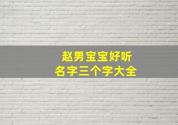 赵男宝宝好听名字三个字大全