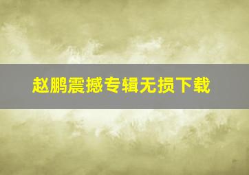 赵鹏震撼专辑无损下载