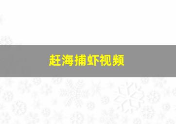 赶海捕虾视频