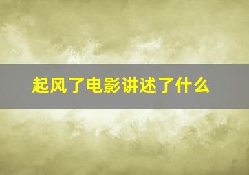 起风了电影讲述了什么