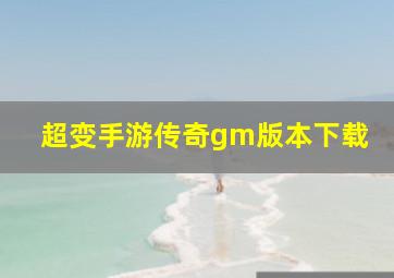 超变手游传奇gm版本下载