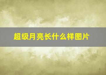 超级月亮长什么样图片